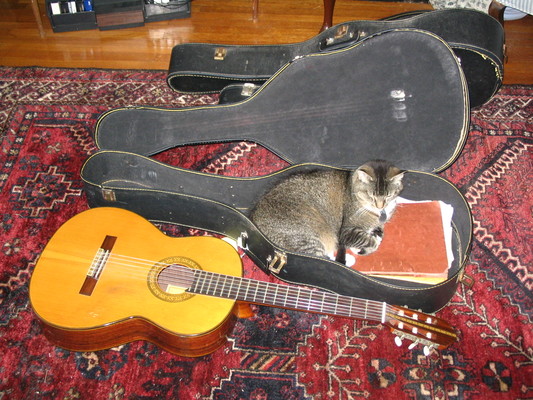 Paws in a guitar case 2