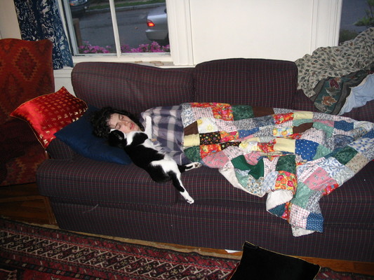 Rosie and Pip, sleeping on couch