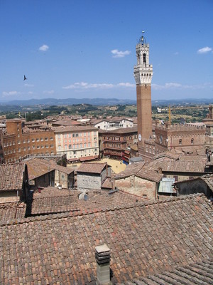 View from duomo; Sienna