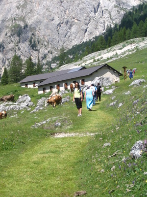 Alice, Anne, Nathan, Rick, Cows; Dolomite alpine meadow