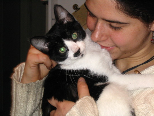 Pip, Alice