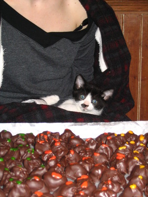 Kitten on Rosie's lap, in front of truffles
