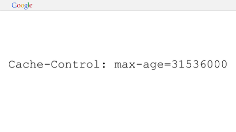 Cache-Control: max-age=31536000